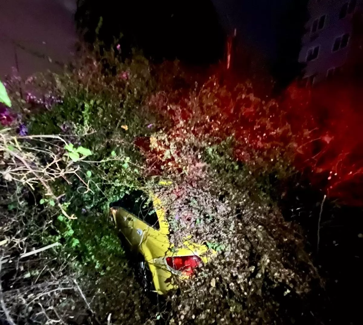 Mersin'de seyir halindeki taksi, devrilen ağacın altında kaldı