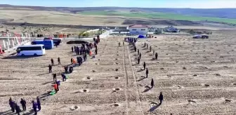 Kırşehir'de cezaevi yerleşkelerinde 5 bin 500 fidan toprakla buluşturuldu