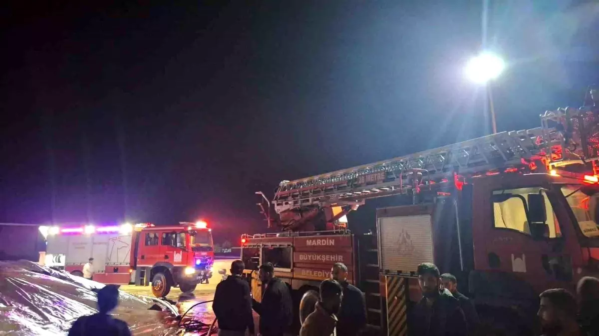 Mardin'de mısır kurutma tesisinde çıkan yangın söndürüldü