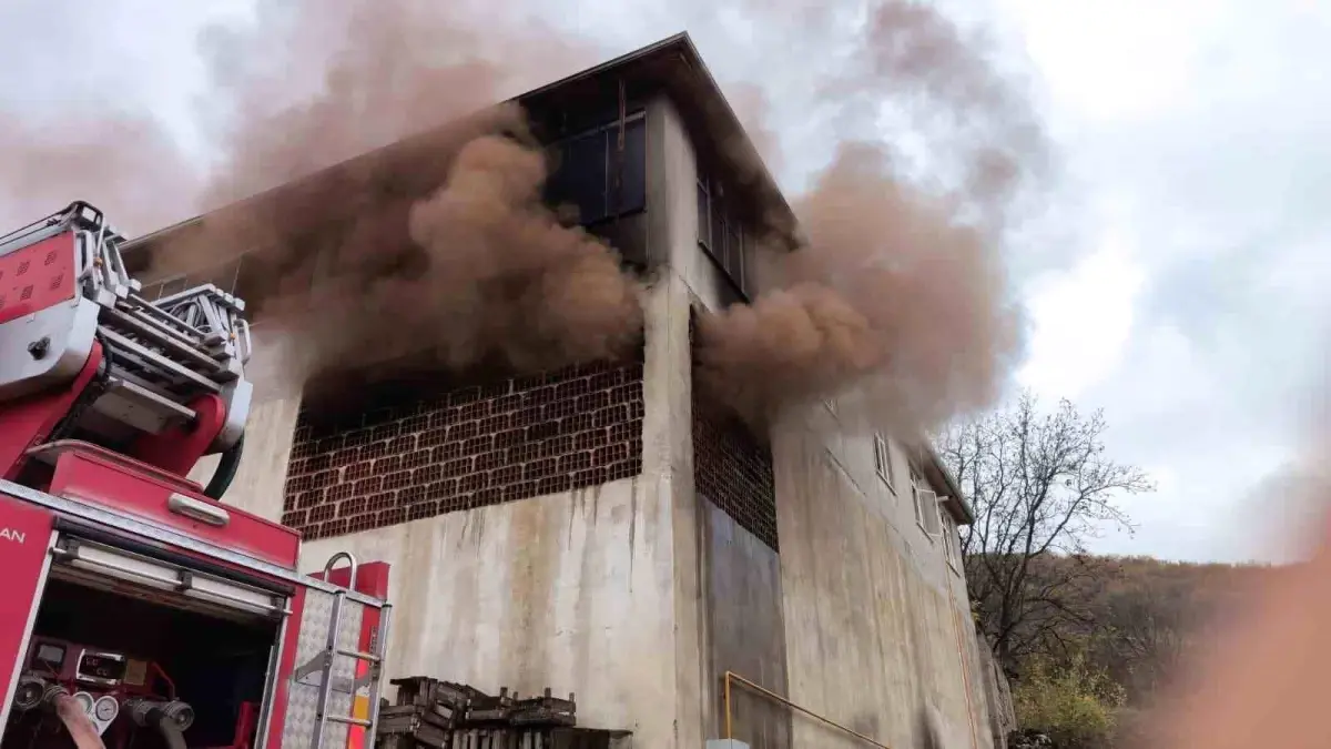 Meyve kasalarının bulunduğu depo küle döndü