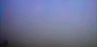 Seydişehir'de kaybolan büyükbaş hayvanlar sahibine teslim edildi