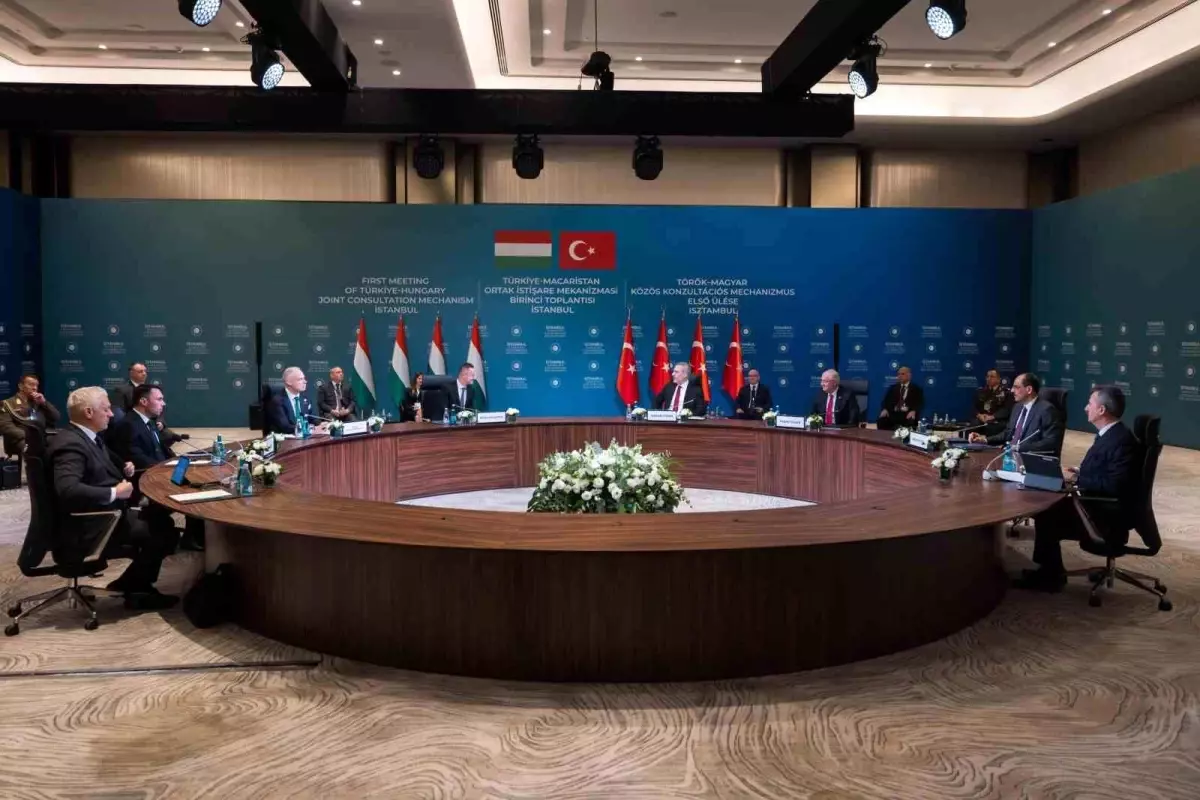 'Türkiye-Macaristan Ortak İstişare Mekanizması Birinci Toplantısı' İstanbul'da başladı