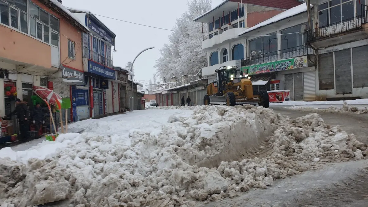 Van'ın 2 ilçesinde 11 yerleşim yeri kar nedeniyle ulaşıma kapandı