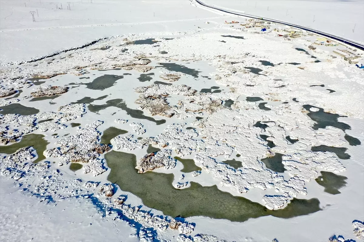 Afrika'dan Rusya'ya göç eden kuşları ağırlayan Çalı Gölü dondu