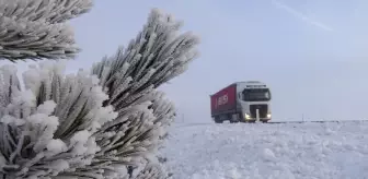 Ağrı, Ardahan, Tunceli ile Kars'ta sis ve buzlanma etkili oldu
