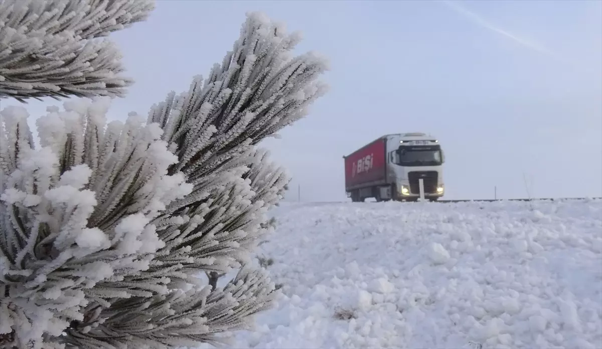 Ağrı, Ardahan, Tunceli ile Kars'ta sis ve buzlanma etkili oldu