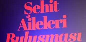 Emniyet Genel Müdür Yardımcısı Çalışkan, 'Şehit Aileleri Buluşması'nda konuştu Açıklaması