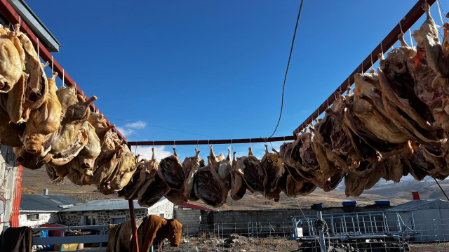 gurbetteki karslilar icin 900 kazi keserek 19337505 7730 m