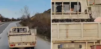 Kamyonun kasasında gördüğü manzaraya isyan etti: Ufacık çocuk ya, şuraya bak