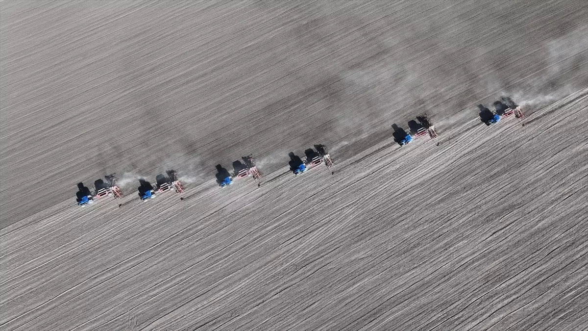 Malya Tarım İşletmesi'nde kuraklığa dayanıklı tohumlarla üretim yapılıyor