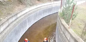 Ordu'da su kanalına düşen karaca itfaiye ekiplerince kurtarıldı