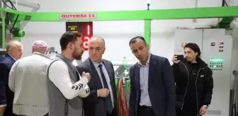 Sarıcakaya'da zeytin ve zeytinyağı üretimi artıyor