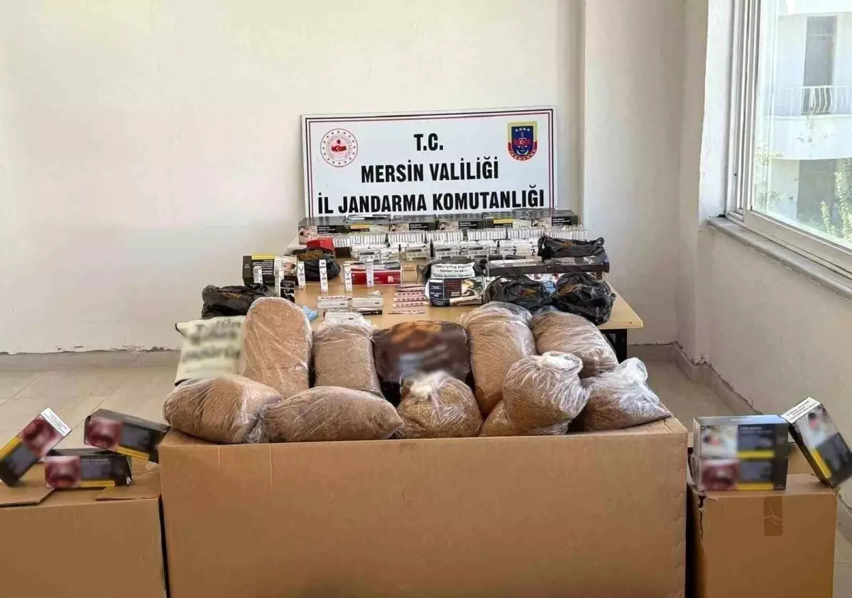 Silifke ve Bozyazı'da kaçak makaron dperasyonu: 2 gözaltı