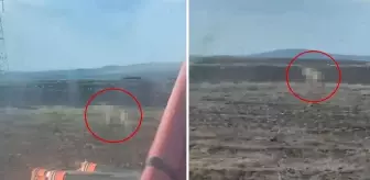 Sivas'ta tarlasını süren çiftçiyi ürküten görüntü