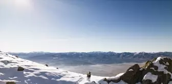 Tunceli doruklarında dağcıları ender görülen çengel boynuzlu dağ keçileri karşılıyor