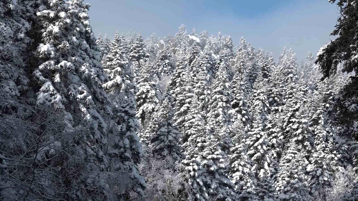 Uludağ'da göz gözü görmüyor