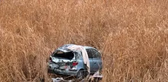 Van'da otomobilin sazlık alana düşmesi sonucu 5 kişi yaralandı