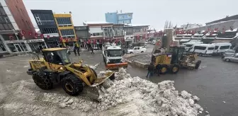 Van, Hakkari ve Muş'ta karla mücadele sürüyor