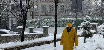 Van ve Bitlis'te kar yağışı etkili oldu