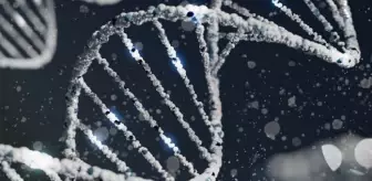 Y kromozomu yok mu oluyor? Erkekler yok mu olacak? Y kromozomu neden yok oluyor?