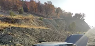 Adıyaman'da şarampole devrilen otomobilin sürücüsü yaralandı