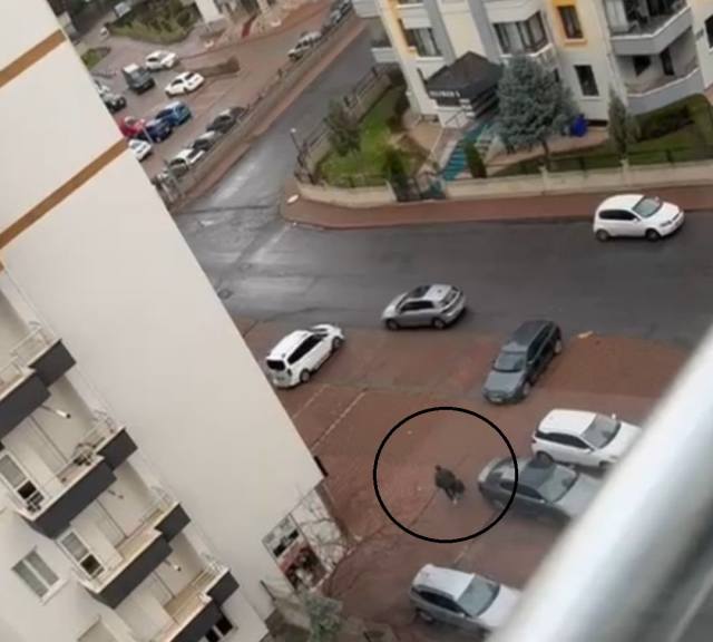 The retired sergeant who killed the building caretaker's wife has a look reminiscent of horror movies