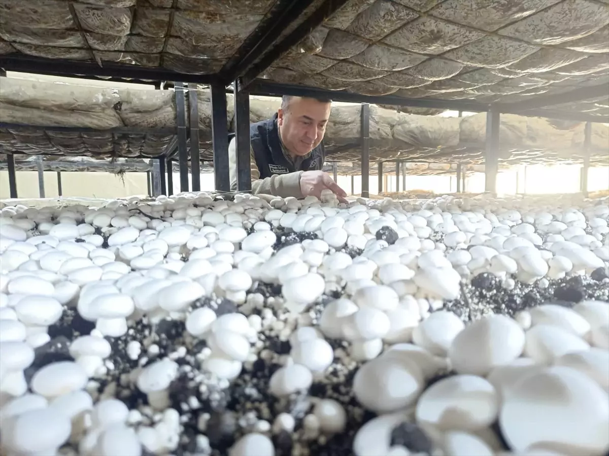 Beyşehir'den kısa kısa