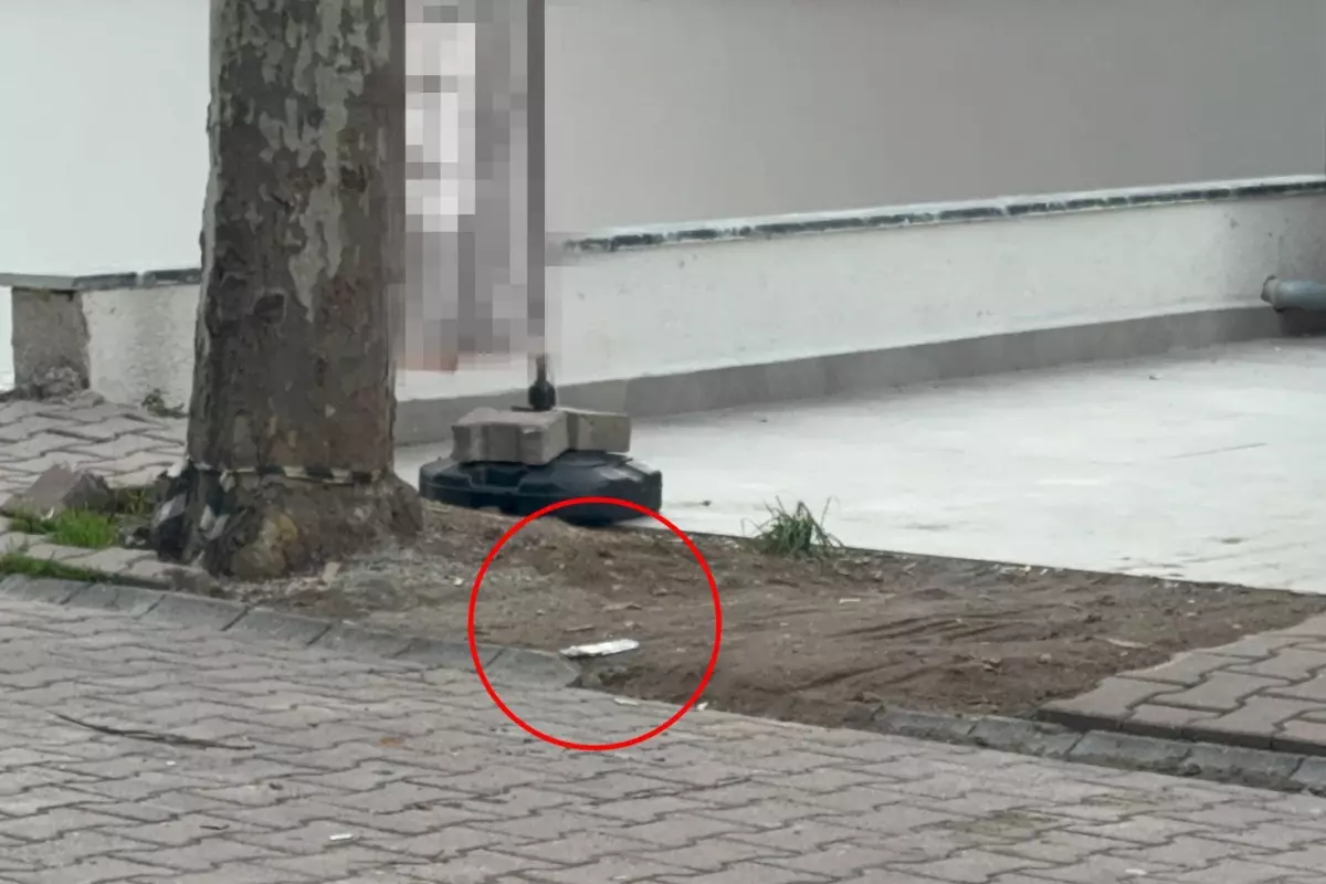 Çöpe atmak için yerden aldığı kargo poşetinin içinden 60 bin dolar çıktı