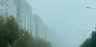 Diyarbakır'da sis etkili oldu