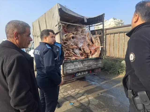 Gaziantep'te 1 ton 900 kilogram bozulmuş et imha edildi Gaziantep'te 1 ton 900 kilogram bozulmuş et imha edildi