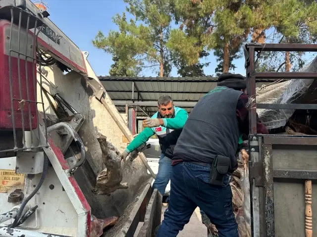 Gaziantep'te 1 ton 900 kilogram bozulmuş et imha edildi Gaziantep'te 1 ton 900 kilogram bozulmuş et imha edildi