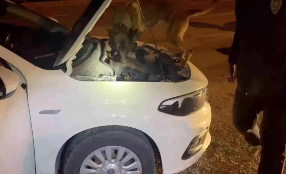 Kastamonu'da uyuşturucu operasyonu: 5 tutuklama