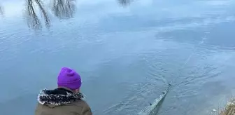 Kırşehir'de kaçak avlanan kişiye 12 bin lira ceza kesildi