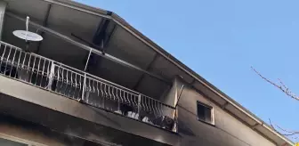 Marmaris'te dairede çıkan yangın söndürüldü