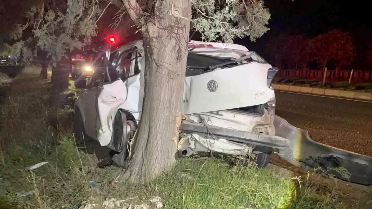 Tekirdağ'da ağaca çarpan otomobilin sürücüsü yaralandı