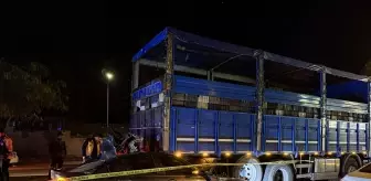 Adana'da kamyona çarpan otomobildeki 1 kişi öldü, 2 kişi yaralandı