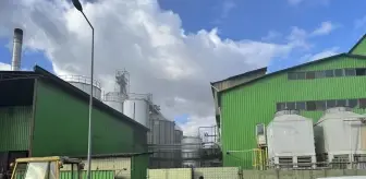 Afyonkarahisar'da bir yağ fabrikasında çıkan yangına müdahale ediliyor