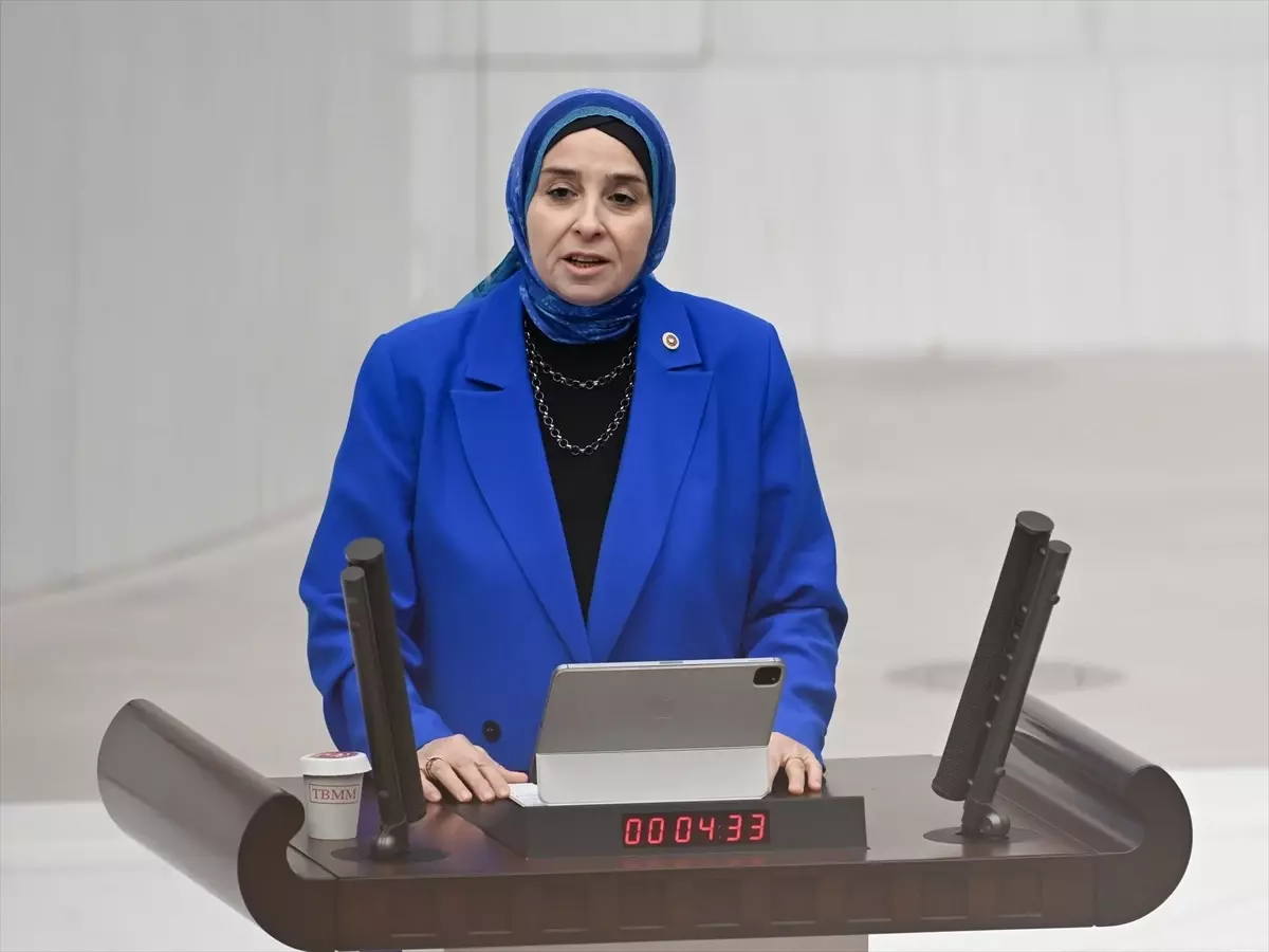 Aile ve Sosyal Hizmetler ile Milli Eğitim bakanlıklarının 2026 yılı bütçeleri TBMM Genel Kurulu'nda