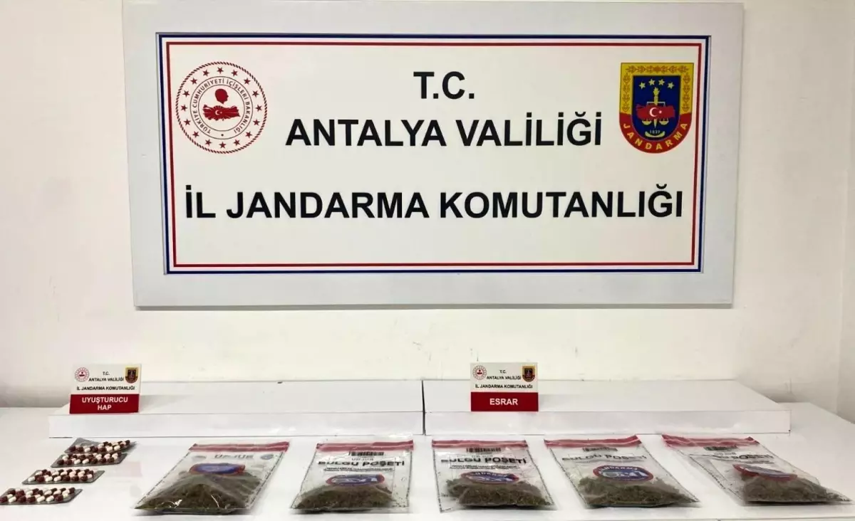 Alanya'da jandarmadan uyuşturucu operasyonu