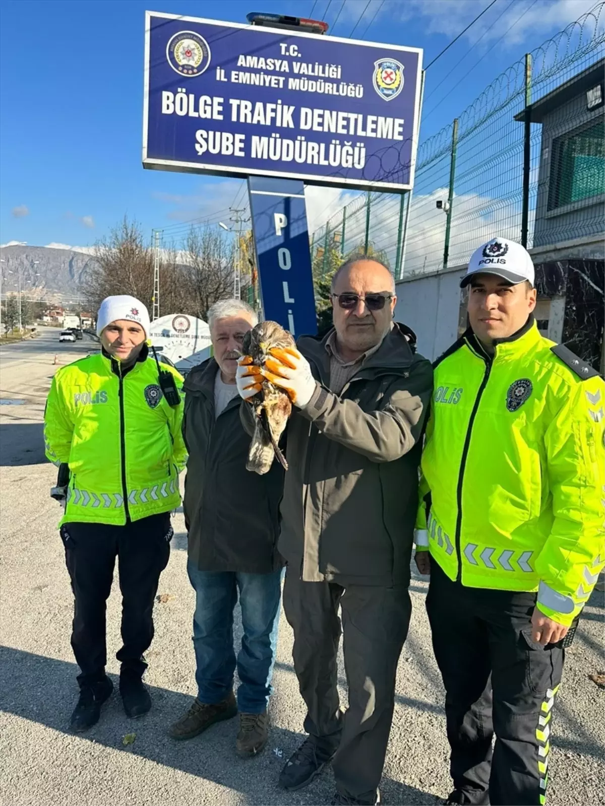 Amasya'da yaralı bulunan kızıl şahin tedavi altına alındı