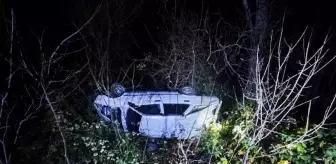 Artvin'de uçuruma devrilen otomobildeki 4 kişi yaralandı