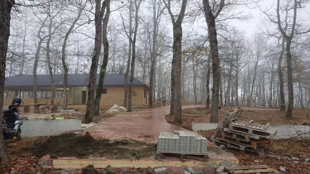 Asarcık Tongel Dağı'nda mesire alanı yapılıyor