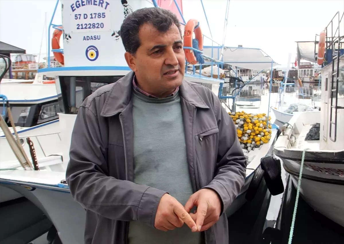 Balıkçılar bu sezon bol avlanan hamsiden istediği geliri elde edemedi