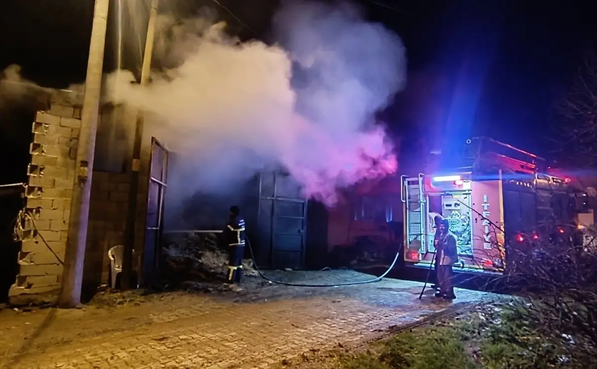 Banaz'da çıkan yangında 5 koyun telef oldu