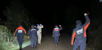 Bartın'da ormanda kaybolan yaşlı kadını bulmak için çalışma başlatıldı