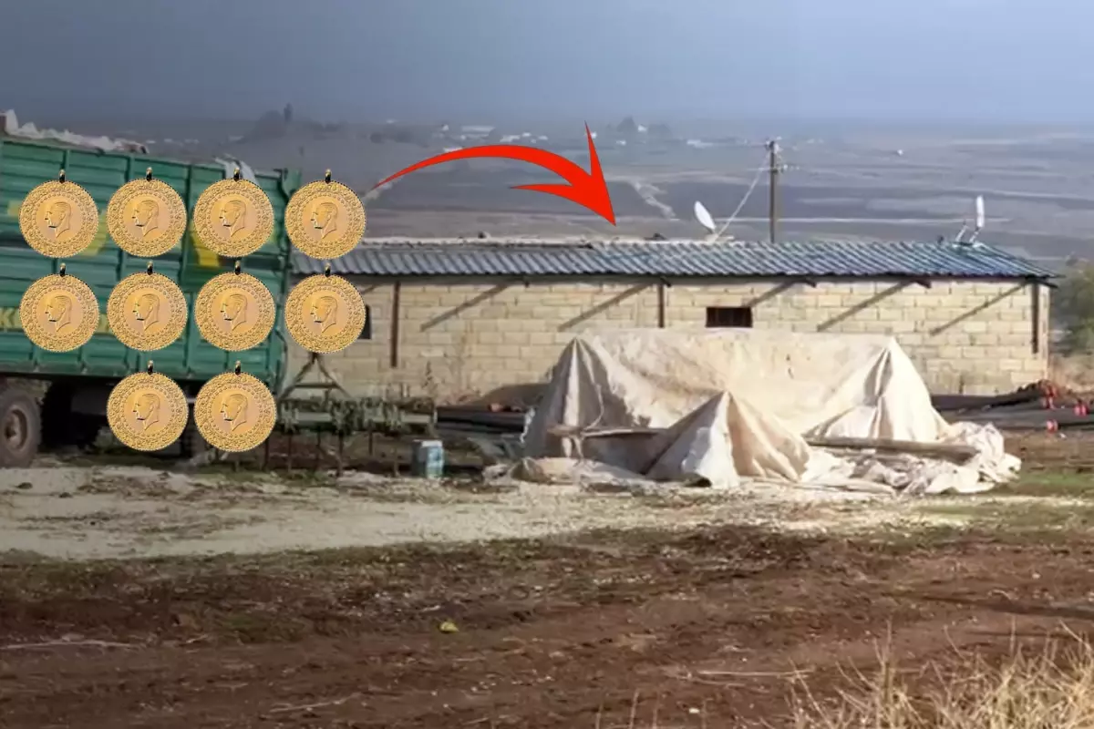 Bin çeyrek altına denk geliyor! Ahır görünümlü harabenin içine giren ekipler gördüklerine inanamadı