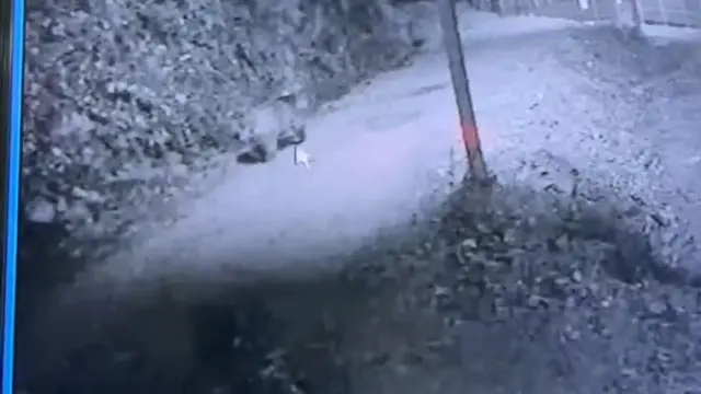 Bir ilin kabusu oldu! Görüntüyü izleyen avcılar harekete geçti Bir ilin kabusu oldu! Görüntüyü izleyen avcılar harekete geçti