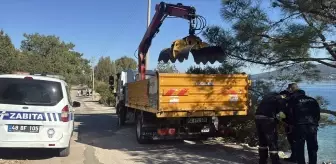 Bodrum'da ölü caretta caretta kıyıya vurdu
