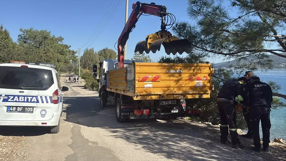 Bodrum'da ölü caretta caretta kıyıya vurdu