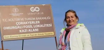 Çankırı'da zürafadan gergedana yüzlerce fosil bulunan alandan bu sezon 200 fosil çıkarıldı